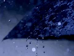 덧없고 길, 雨와 遇