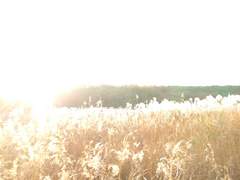 내가 너무 귀엽다