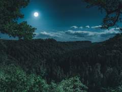 1. 제목 없는 이야기