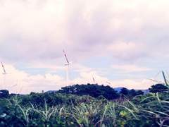 제주도, 비, 바다, 무지개