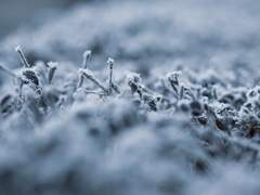 마법이 이름이 되는 세계