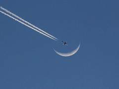 [랩진] Over the Moon 2