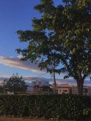 Tell Me To Marry You