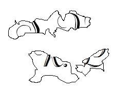 [명탐정 코난] Starry Night, Part 4