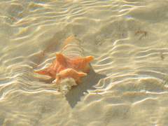 [랩슈] Blue Hole 12