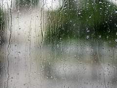 촉, 촉, 초코초코