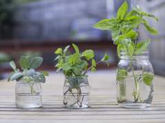 부디 행복한 하루가 되길.