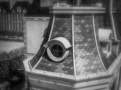 이 집에서 지켜야 할 규칙