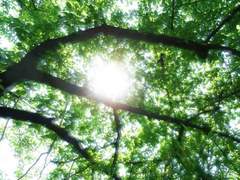 [셈한] 아직 눅눅한 한여름이었다.