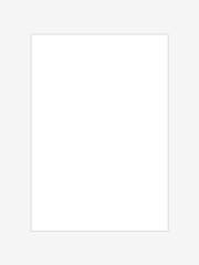 정왕종주 / 경염임수 / 정매