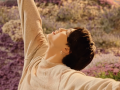 Stay Gold Capture (지민 Ver)