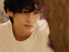 Stay Gold Capture (V Ver)