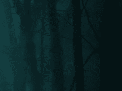 아려오는 감각 속에는