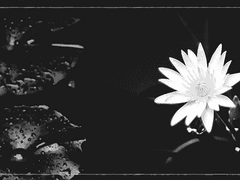 [하리카에 소요카/3학년/여/밴드부]