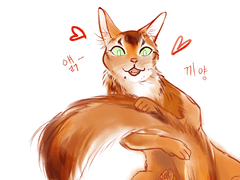 어느날 고양이가 된 빛의전사가 보고 싶다.