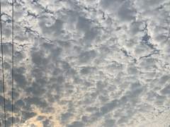 달에게 쓰는 편지