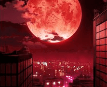 바넬로피 걔 비프