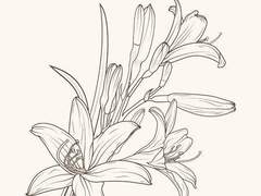 悲忘錄의 소나타