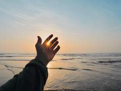 [시안바네] 당신을 태양이라 생각했기에