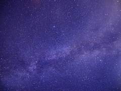 [달국X여난] 러브젠가.