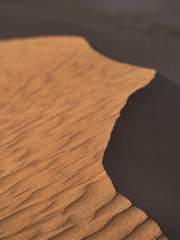 2차 창작 기타 장르