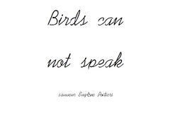 새가 말하지 못하는 건에 대한 심오하고 쓸데없는 고찰