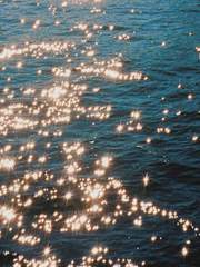 드문 기록; 사랑의 다양한 모양에 대해서