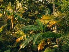 [마블/로키배너] Green