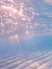 그 여름; 계절의 기록