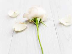 가까운 사람에게 서운함이 들 때 내 감정을 컨트롤하는 법.