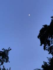 달에게 쓰는 편지