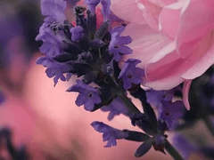 알 수 없는 낯에 담겨있는