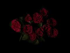 좀비 아포칼립스 AU