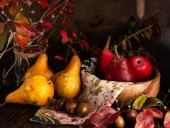 [클로벨] 선악과