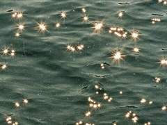 당신을 사랑한다 했잖아요