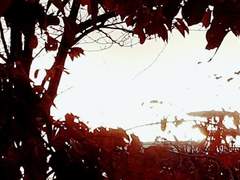 내가 바라던 시간은_