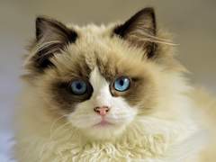 그림 스터디 공지