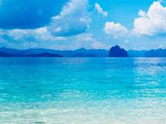 그 여름, 빛에 이끌려