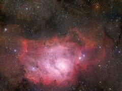 코로나 시대의 사랑