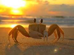 네추럴 트릭스터 일상 02 ~ 또 불운 액땜의 연속 ~