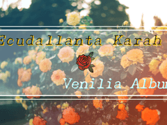 [에디베니] 수면등