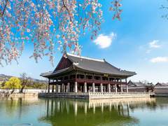 戀戀不忘 (연연불망) #1