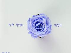 [키드신][카이신] 파란 장미와 마법사