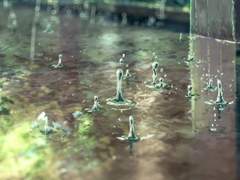 첫사랑의 데시벨 09.