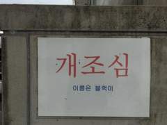개조심 외전 토끼조심