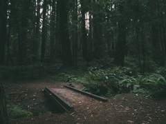 3. 끝에 찾아온 것은 희미한