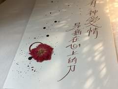 정양 (@_TingYang) 님 커미션