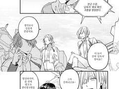 유성우(流星雨)