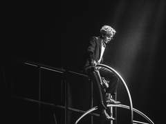 月見草(월견초)