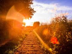 영원의 온도 下